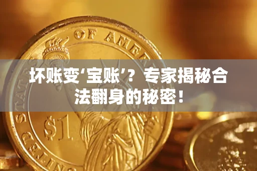 北京坏账变‘宝账’？专家揭秘合法翻身的秘密！