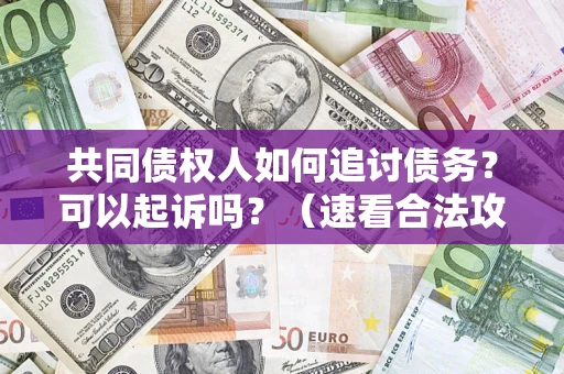 北京共同债权人如何追讨债务？可以起诉吗？（速看合法攻略）